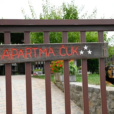 Apartment Apartma Cuk *