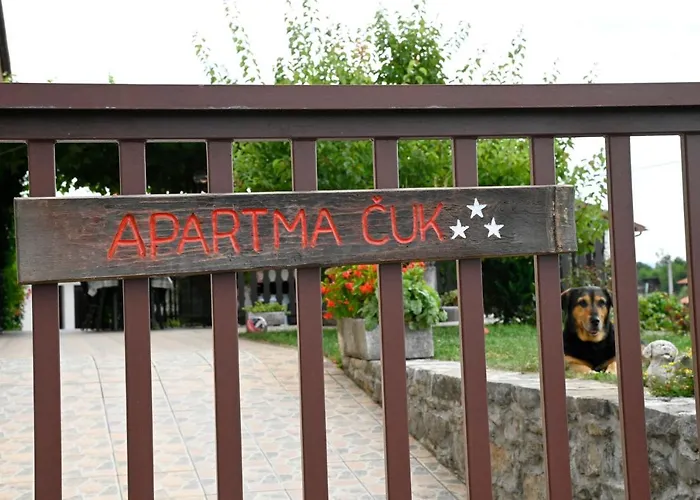 Appartamento Apartma Cuk *